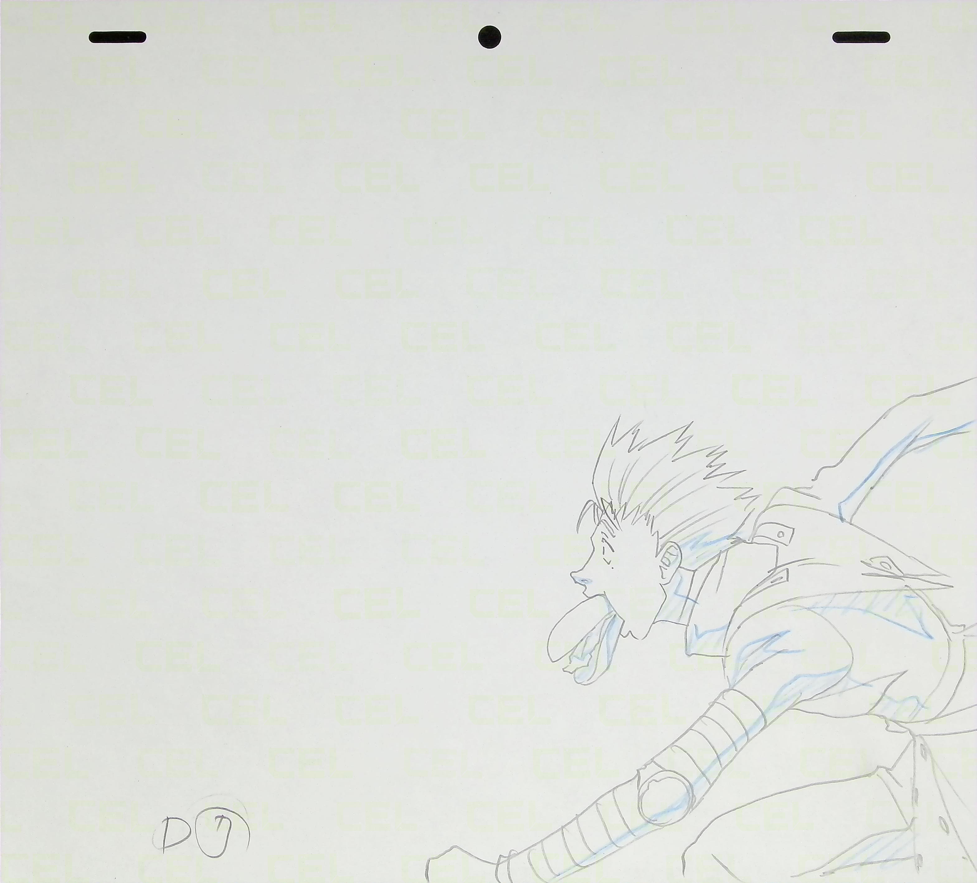 Genga — primary view