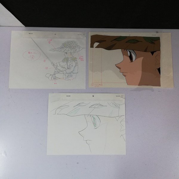 Cel — primary view