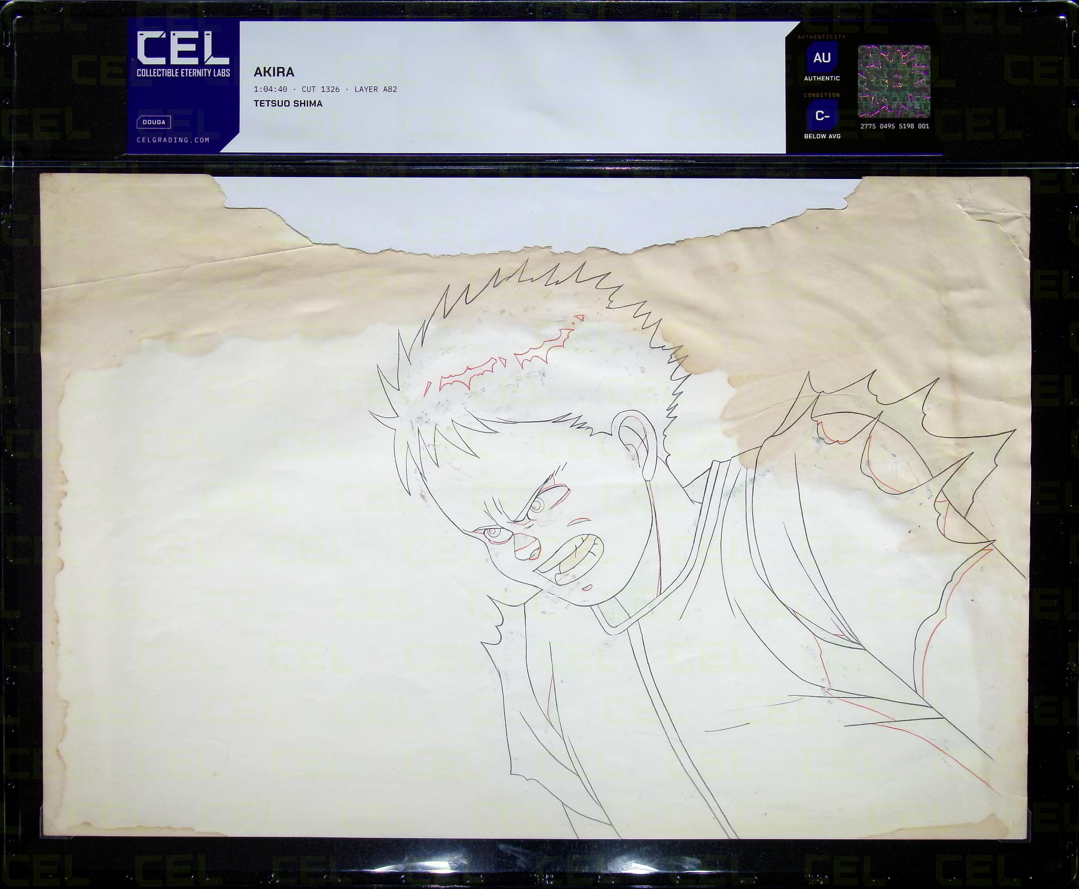 Douga — primary view
