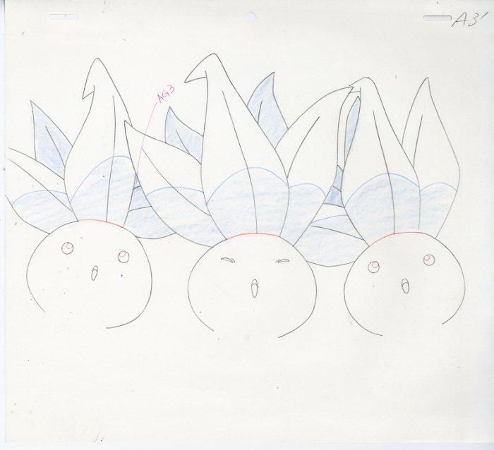 Douga — primary view