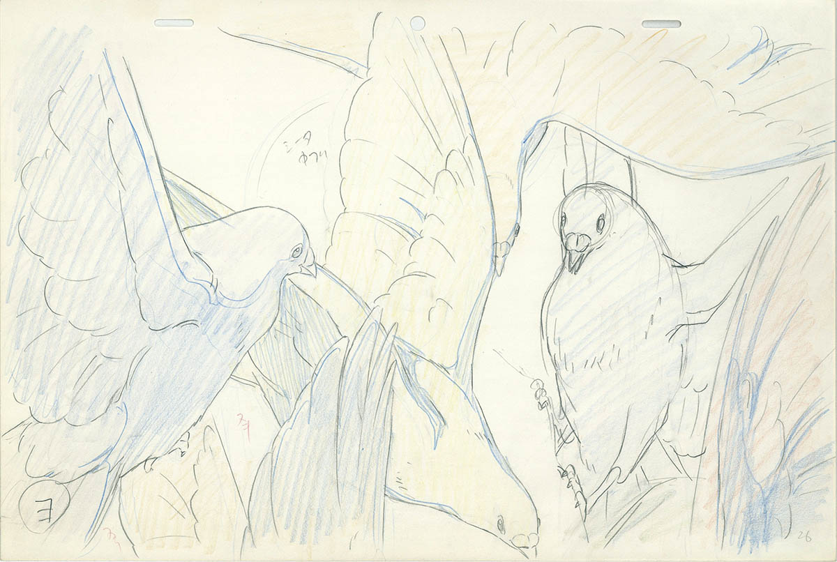 Genga — primary view
