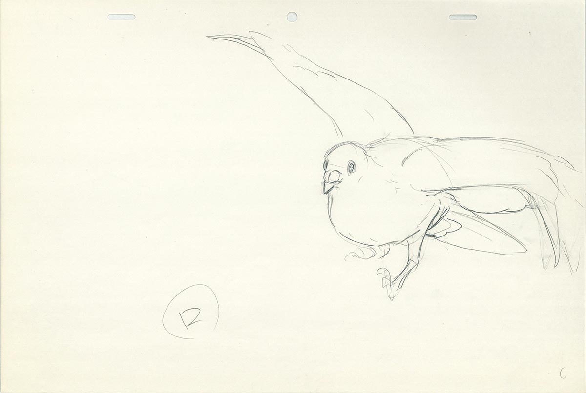 Genga — primary view