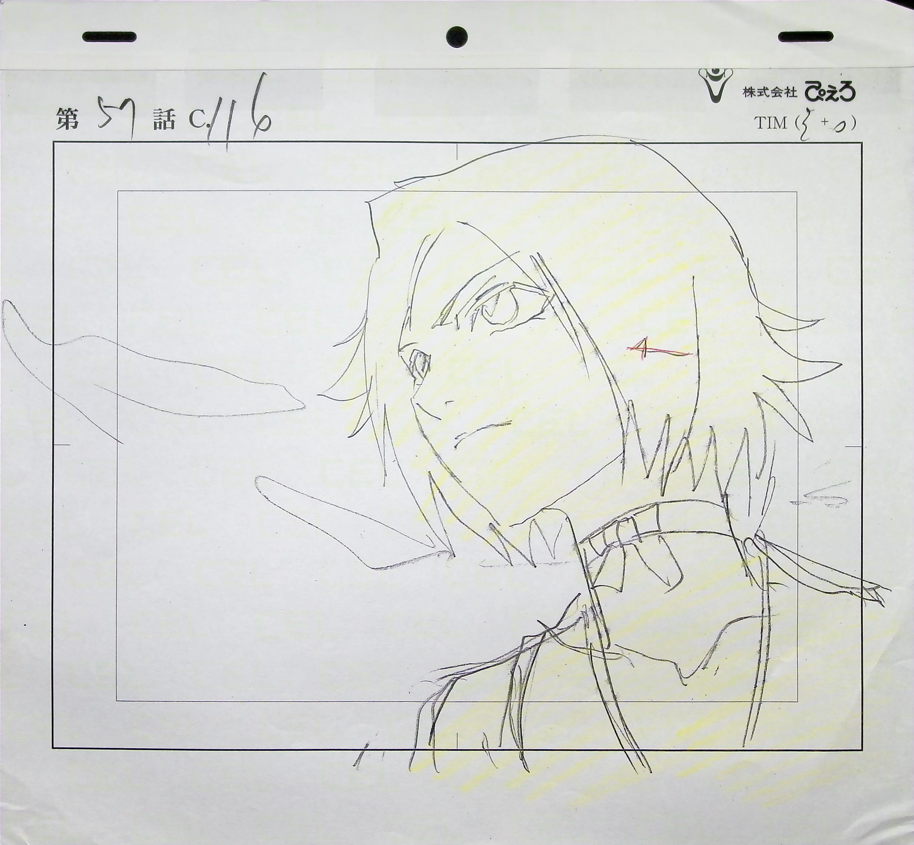Layout — primary view