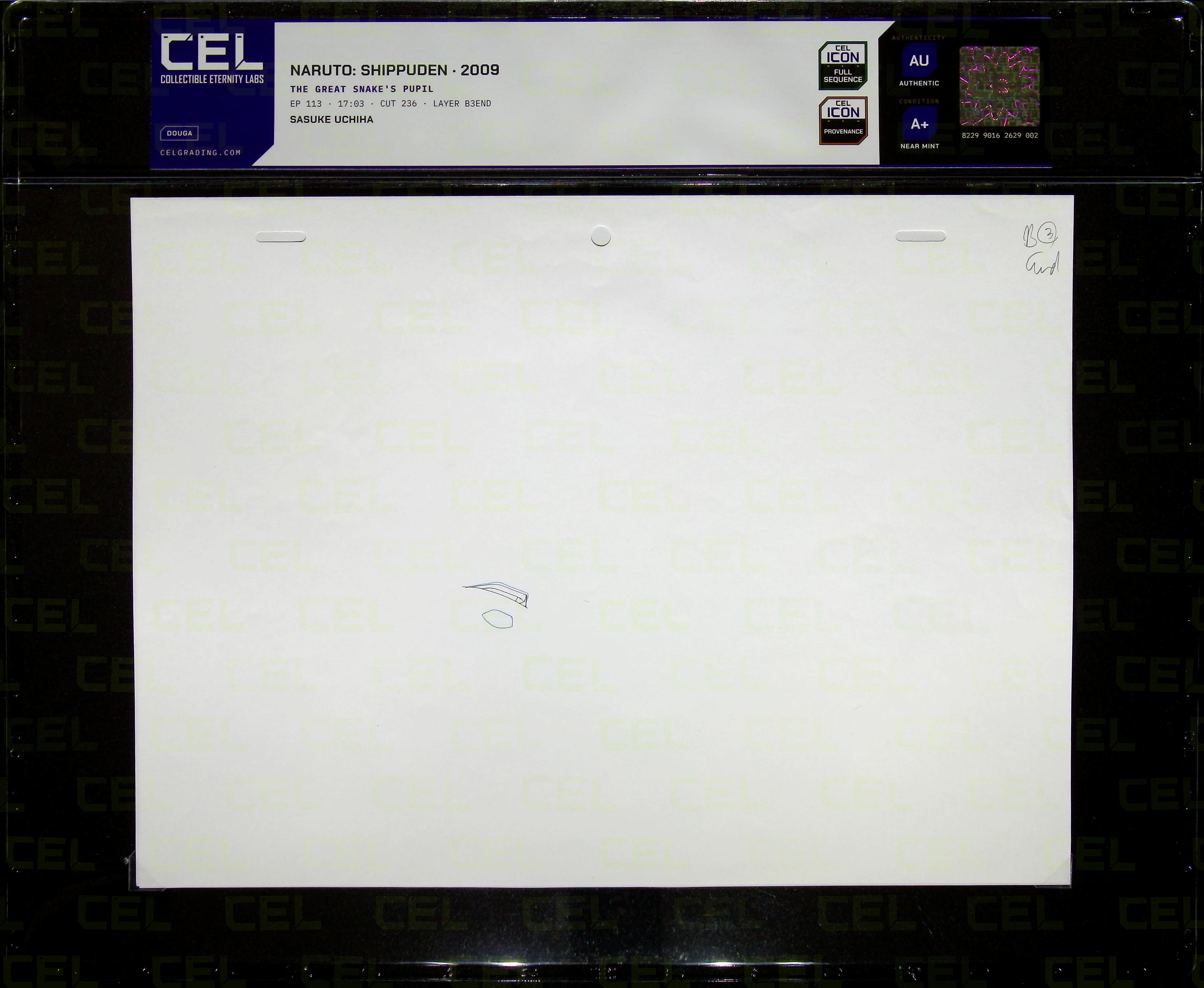 Douga — primary view