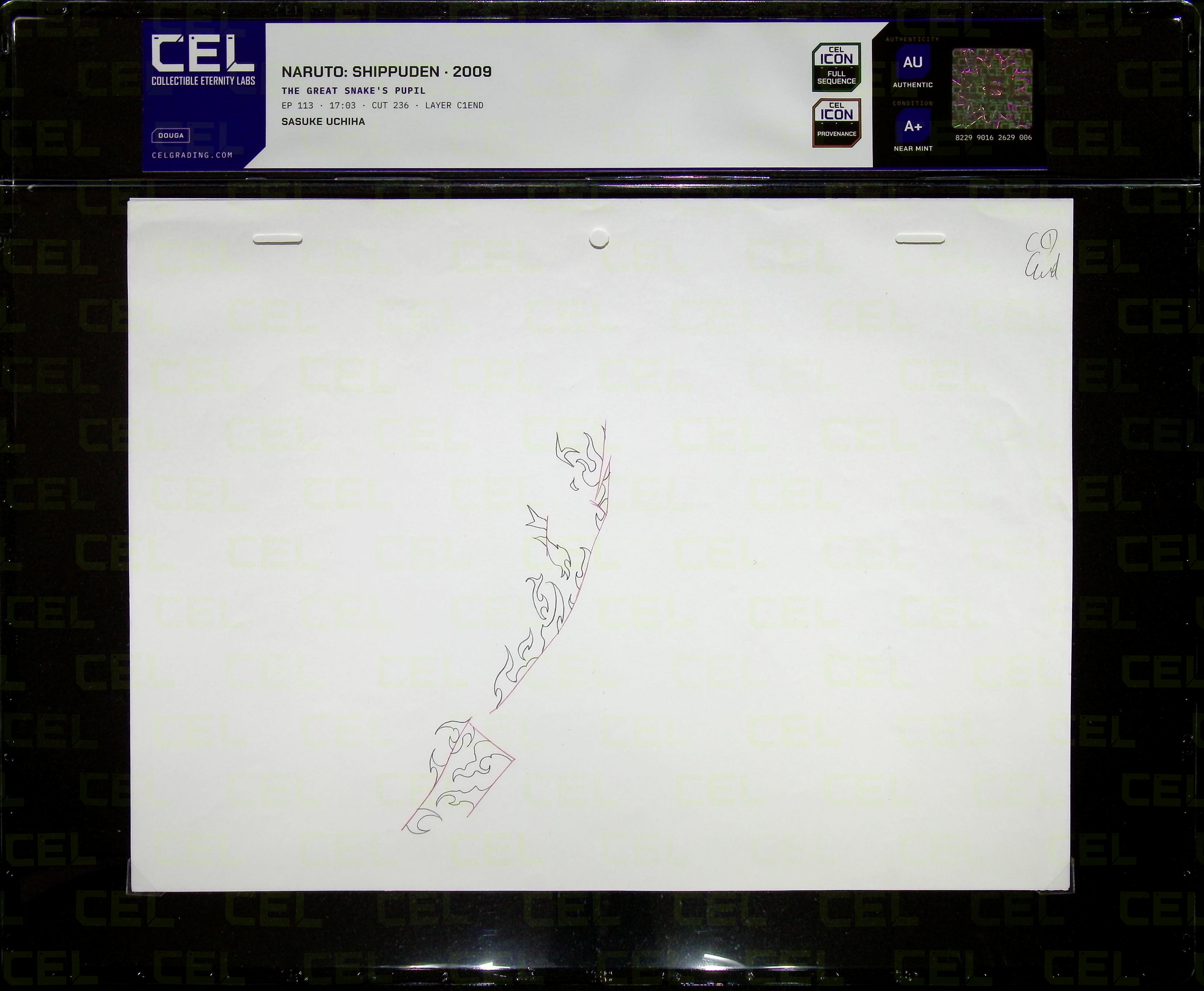 Douga — primary view