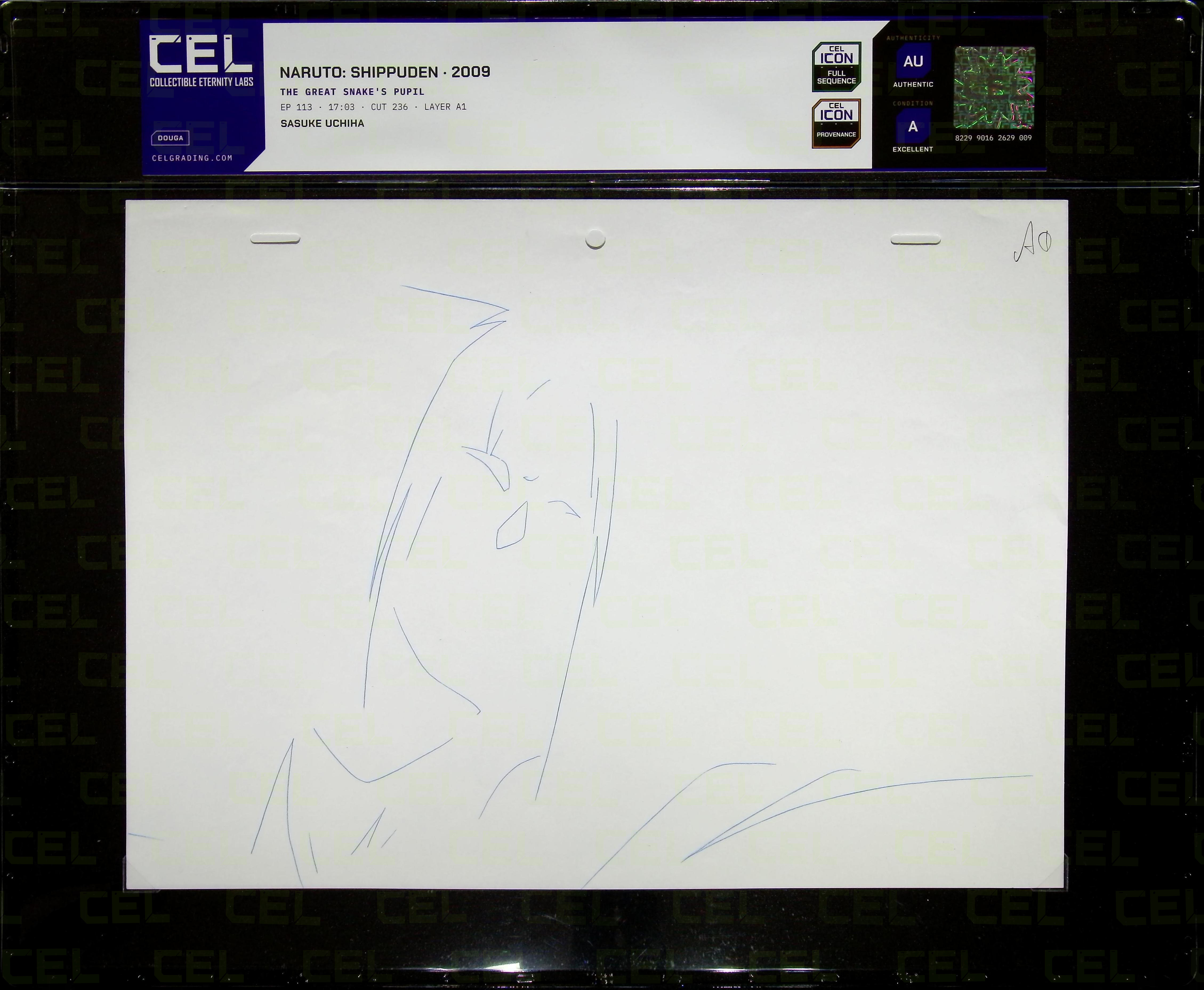 Douga — primary view