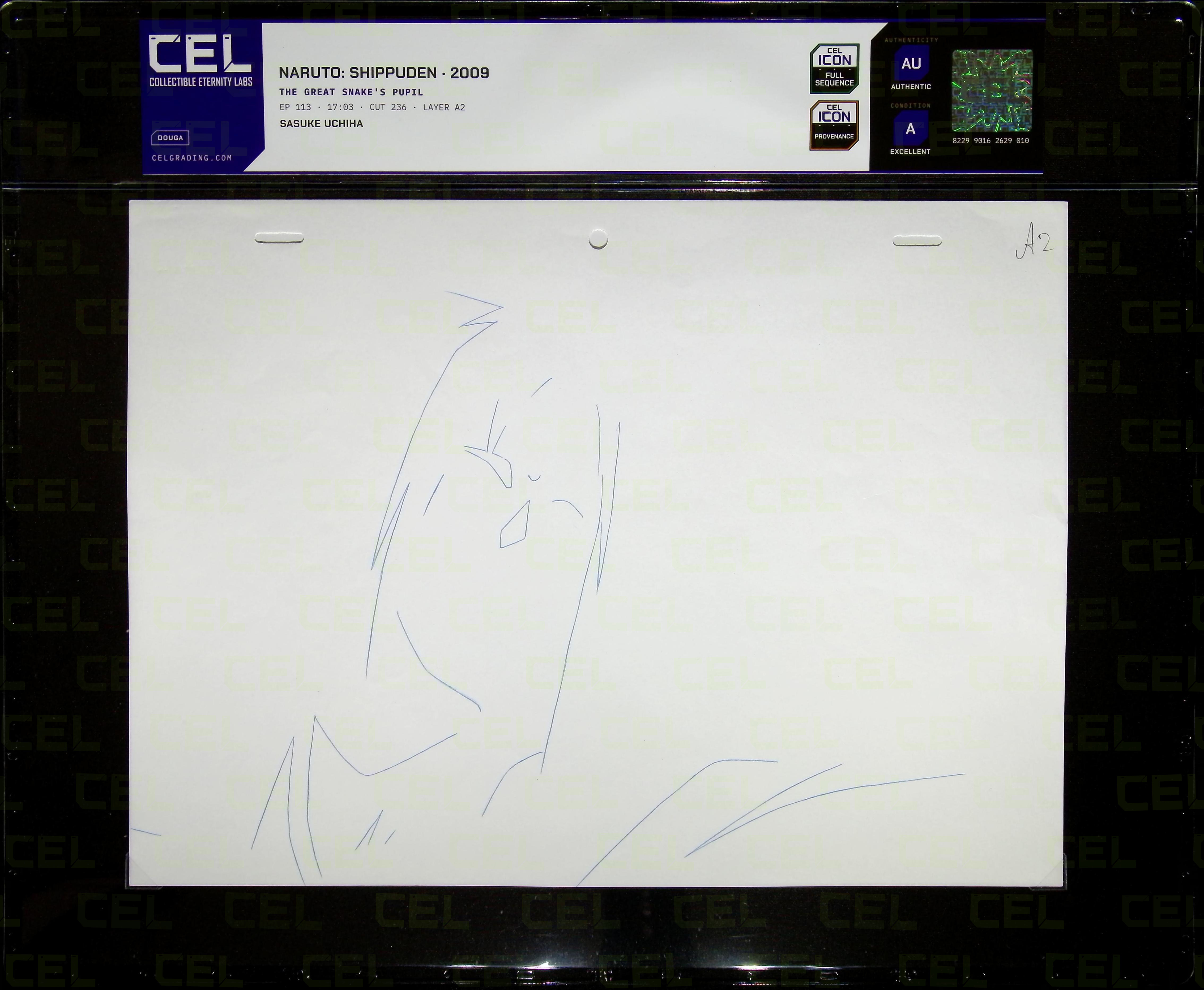 Douga — primary view