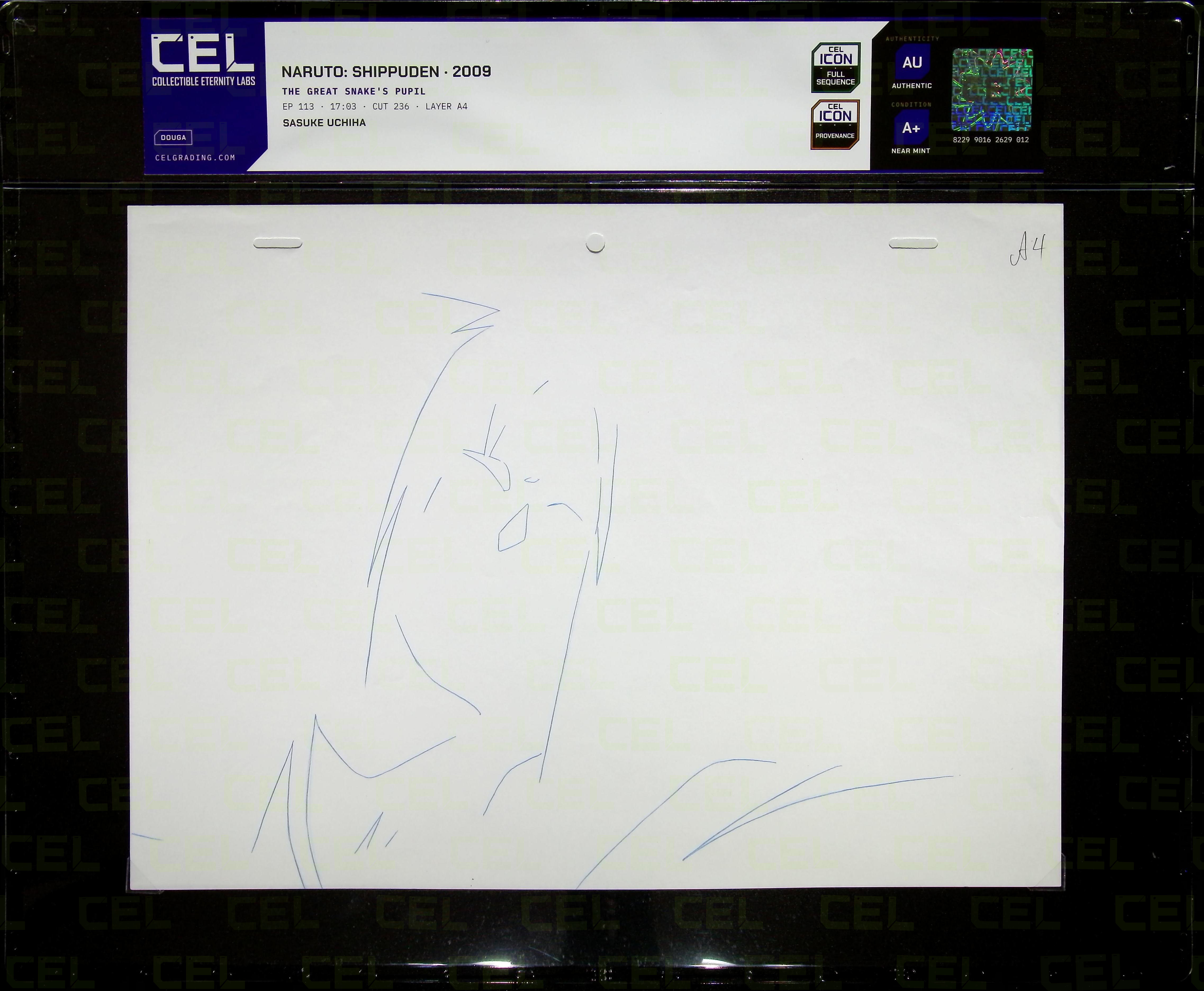 Douga — primary view
