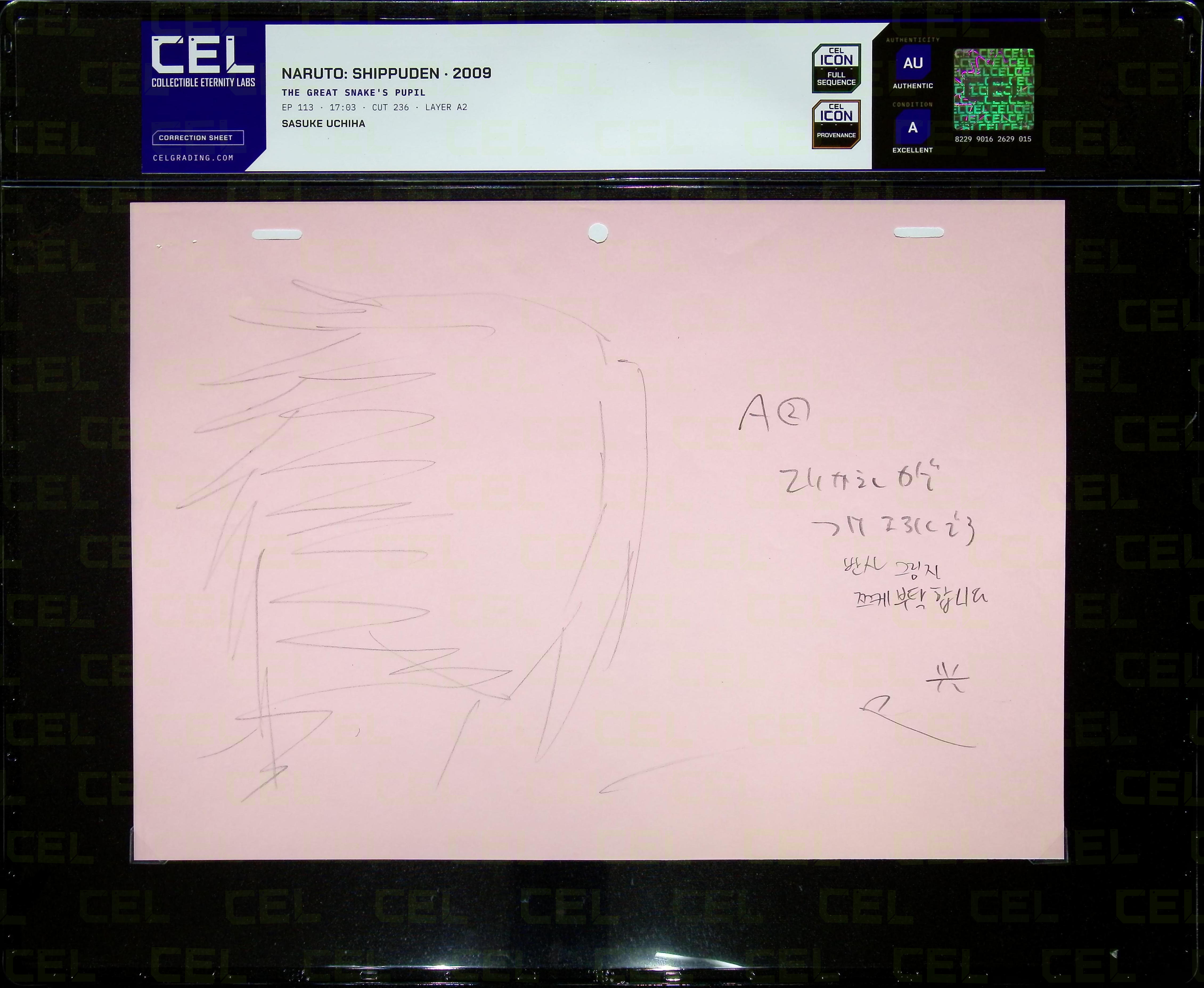 Correction Sheet — primary view