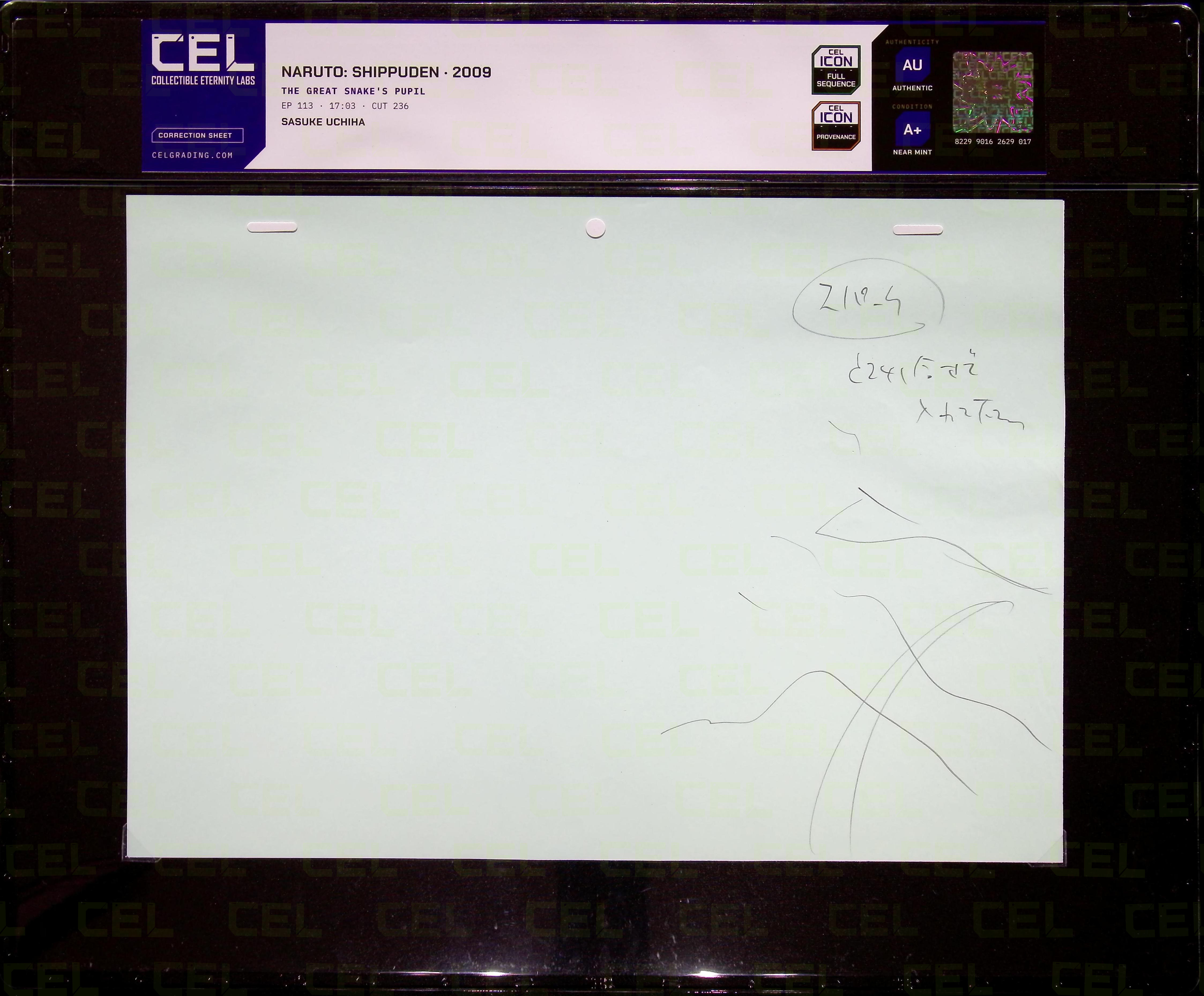 Correction Sheet — primary view