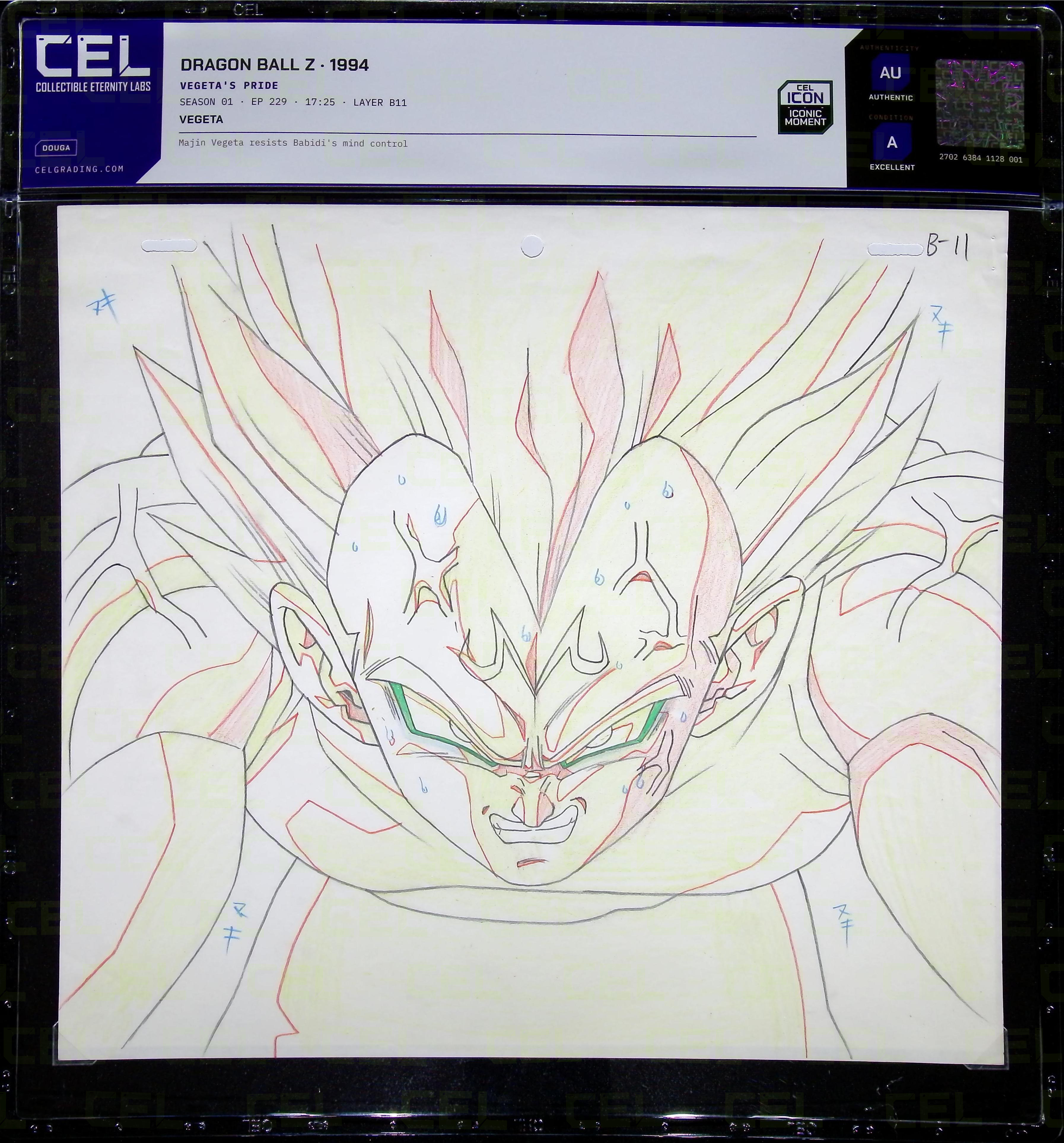 Douga — primary view