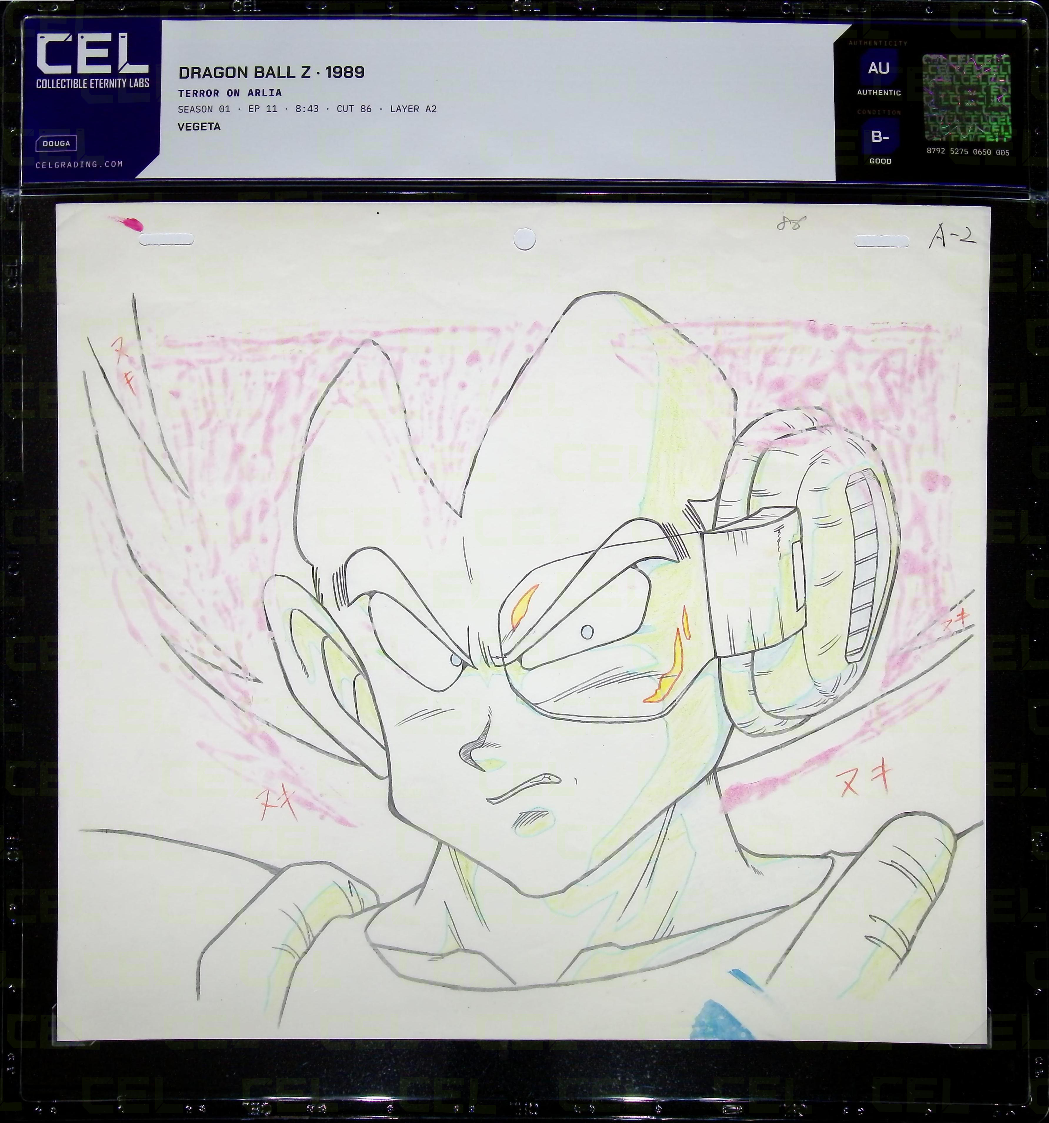 Douga — primary view