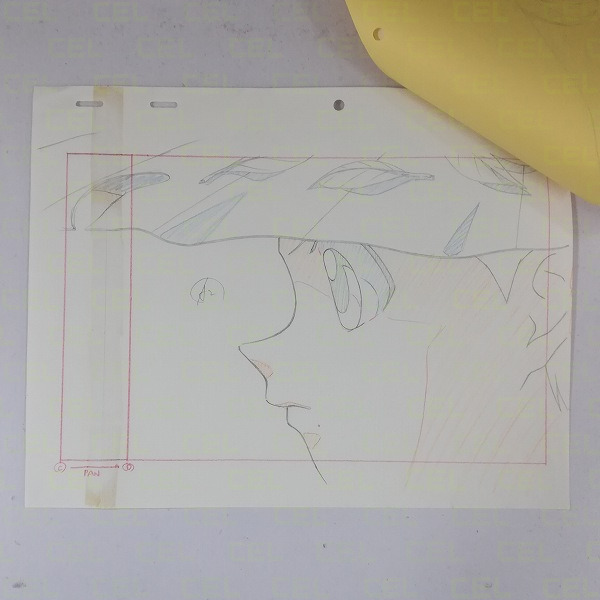 Genga — primary view