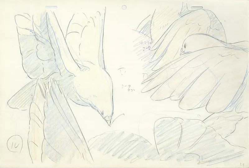 Studio Ghibli Films & Shorts