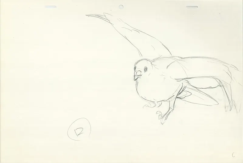Studio Ghibli Films & Shorts