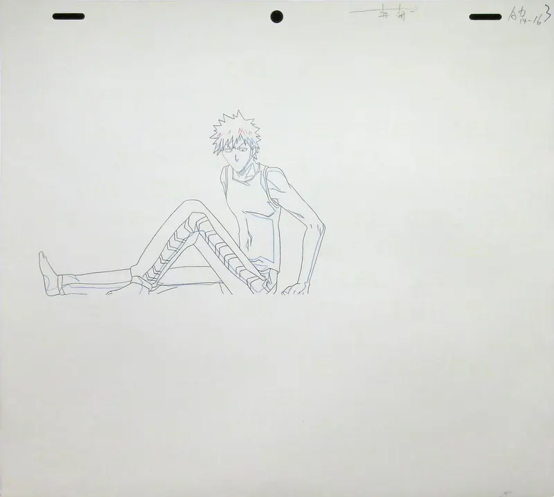 Layer 1 Frame 13